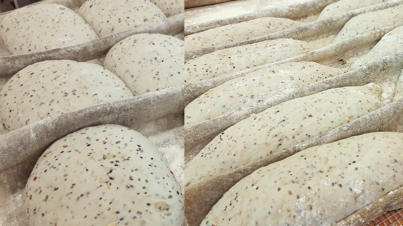 dough before and after moulding vertical moulder tregor merand