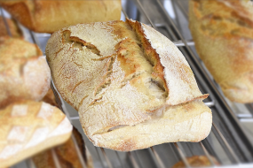 machines et lignes automatiques de boulangerie pour production de ciabatta