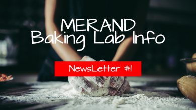 merand baking lab info newsletter